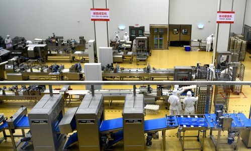 河北石家莊欒城區企業生產繁忙，力促產業新格局，與鄭州軟件開發協同發展